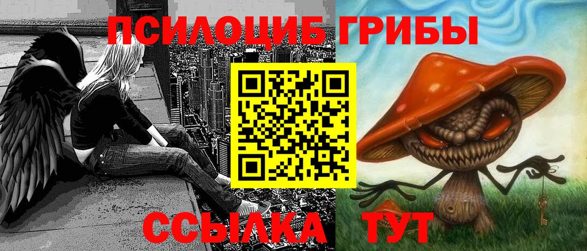 Донской  Псилоцибиновые грибы Magic Shrooms  Вход с VPN 